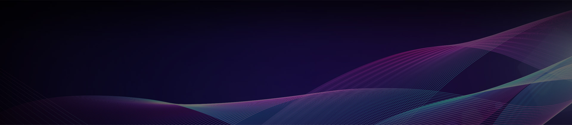 石家莊網絡公司