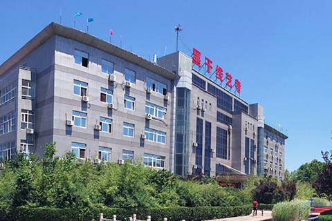 星干線藝考培訓(xùn)學(xué)校網(wǎng)站建設(shè)制作推廣